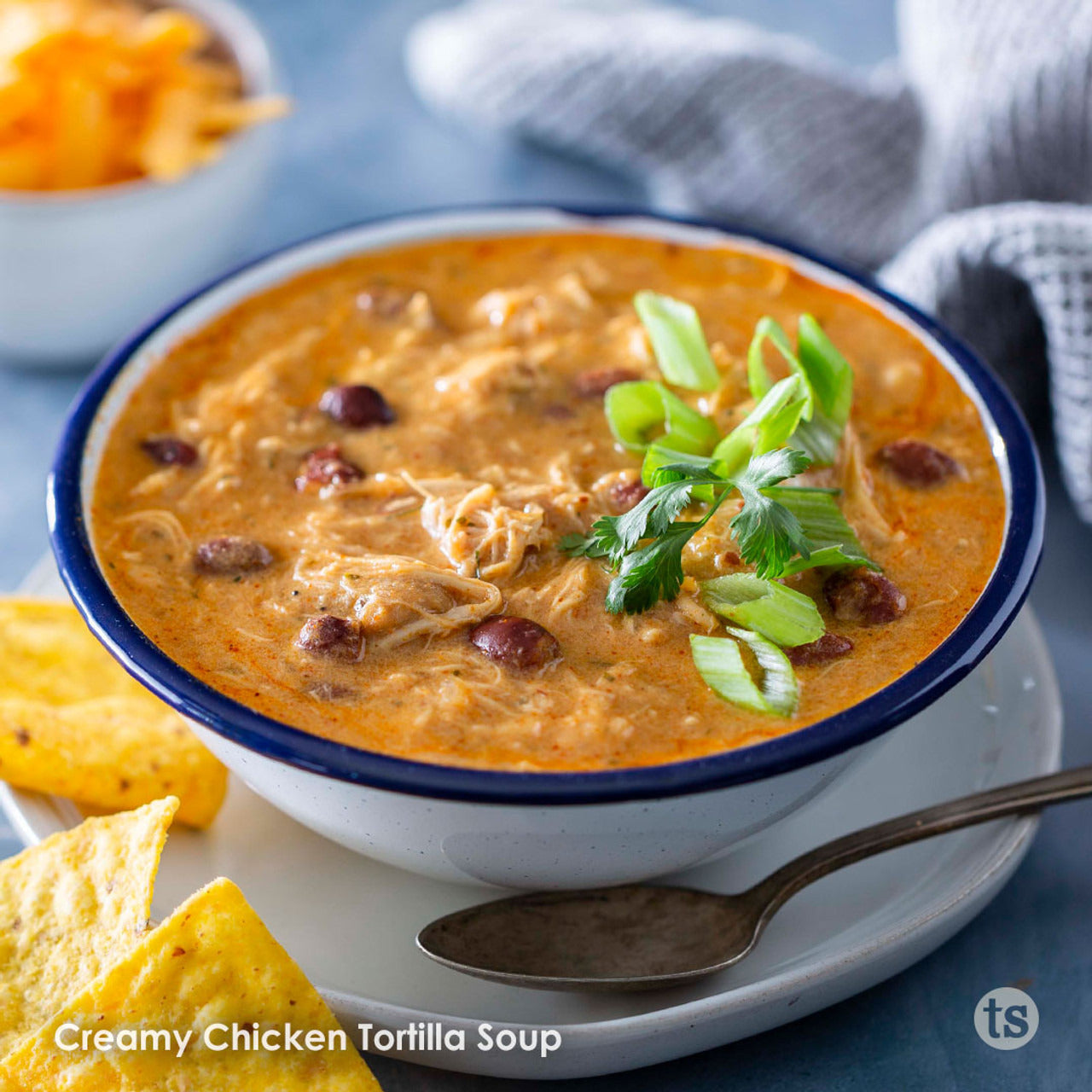 Tastefully Simple Chicken Tortilla Soup Mix