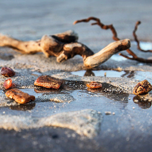 Bramble Berry Driftwood and Amber Fragrance Oil