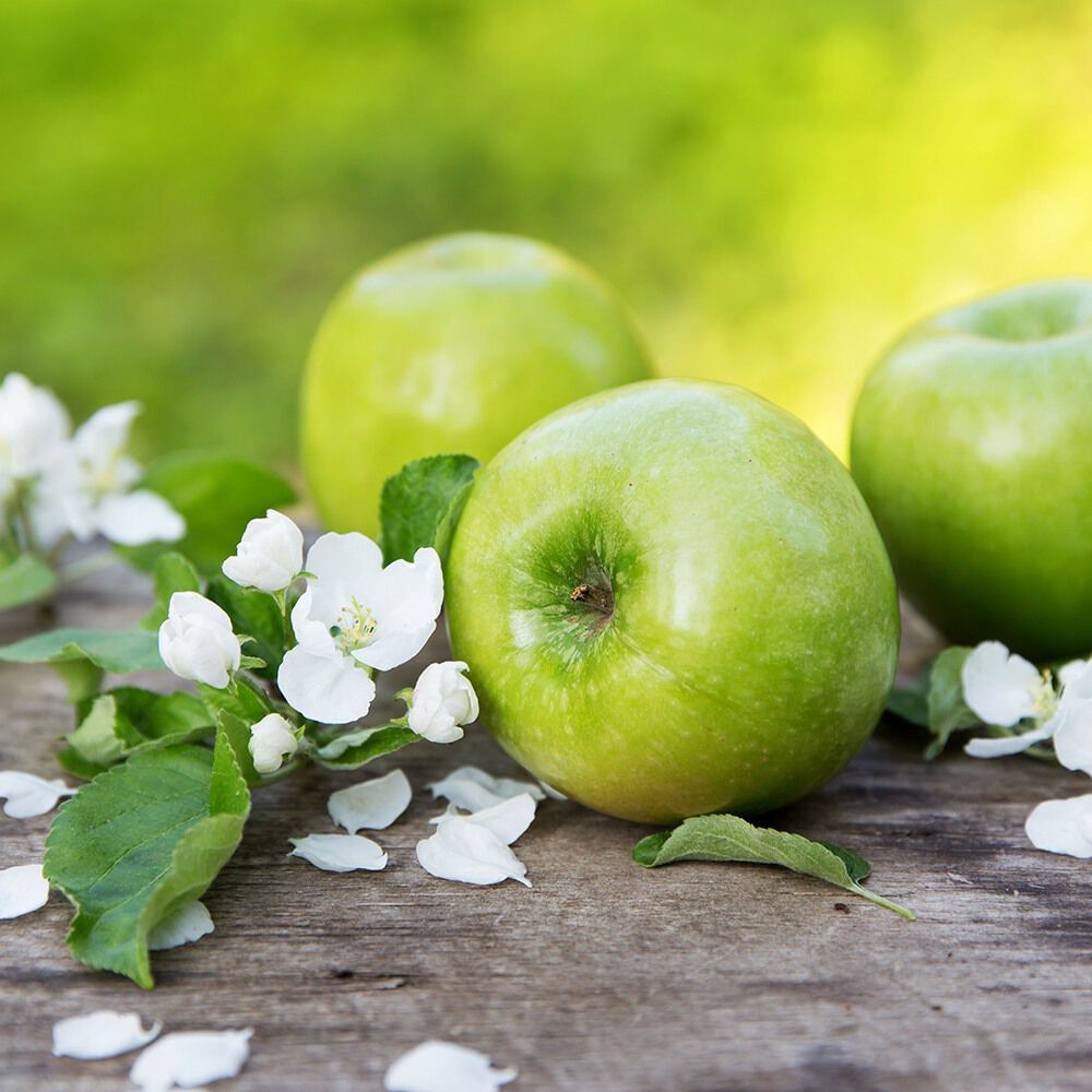 Bramble Berry Sparkling Apple Blossom Fragrance Oil