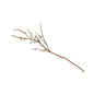 Ballard Designs Suzanne Kasler Holiday Berried Branches