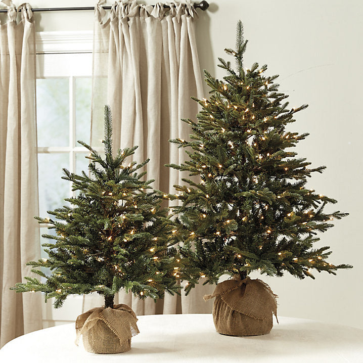 Ballard Designs Suzanne Kasler Fraser Fir Tabletop Tree