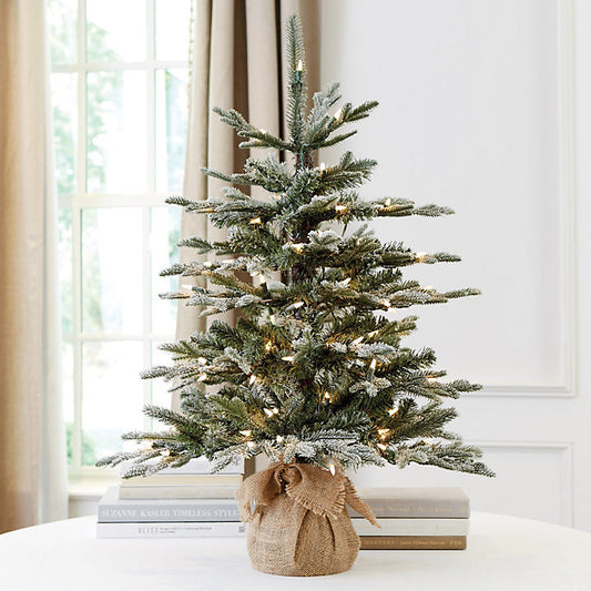 Ballard Designs Suzanne Kasler 3' Flocked Fraser Fir Tabletop Tree