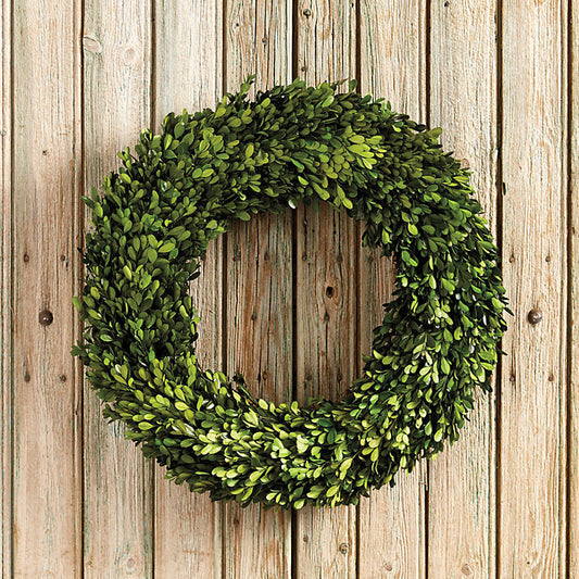 Ballard Designs Preserved Boxwood Wreath